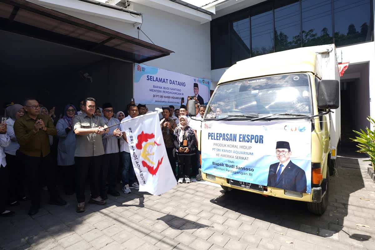 Foto: Ekspor Koral RI ke AS, Kalah Jauh dari Jepang