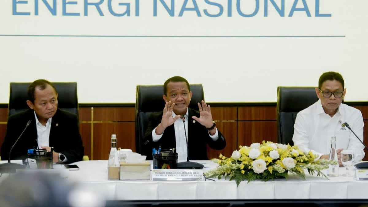 Foto: ESDM Periksa Kebun Sawit Diduga Nyambi Tambang