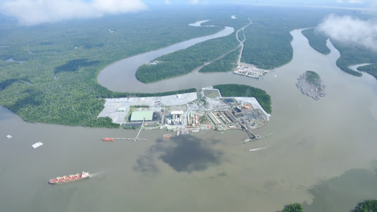 Foto: Freeport Ungkap 130 Spesies Baru di Ekosistem Papua