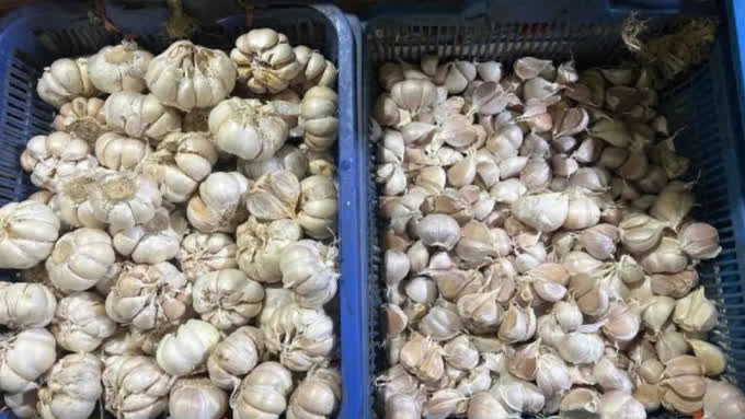 Foto: Harga Pangan 12 Agustus: Bawang Putih Rp40.650 per Kg