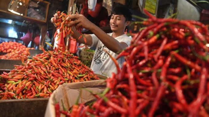 Foto: Jelang HUT RI, Cabai Rawit Melonjak ke Rp62.650/Kg