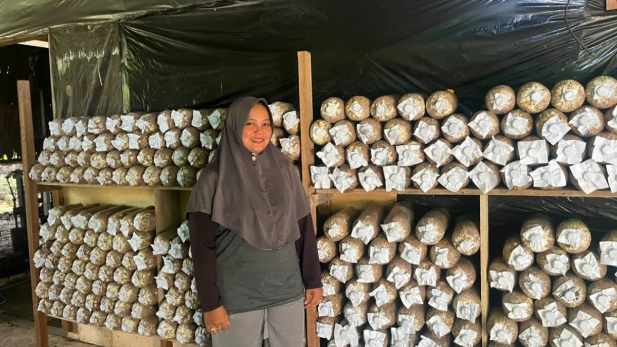 Foto: Kisah Astuti, Nasabah Mekaar Ubah Jamur Jadi Camilan