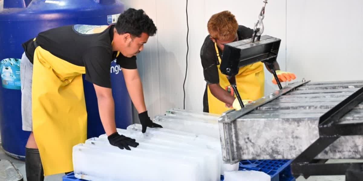 Foto: KKP: Transaksi Ikan di 65 Kampung Nelayan Tembus Rp18,77 Miliar