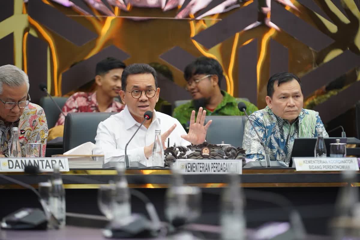 Foto: Mendag: DMO Komoditas Strategis Jangan Otomatis ke Semua