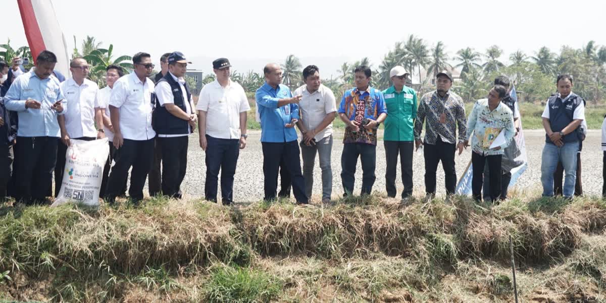 Foto: Penebusan Pupuk Perikanan Bersubsidi di Sulsel Masih Rendah