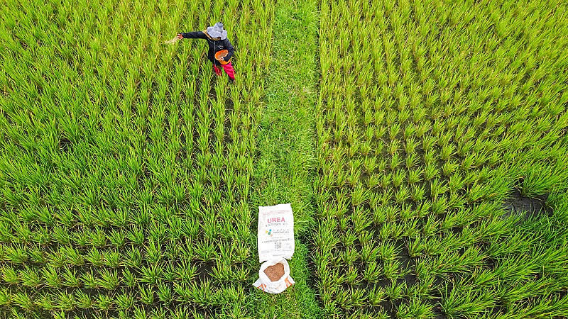 Foto: Penebusan Pupuk Subsidi Tembus 69% dari Alokasi 2026