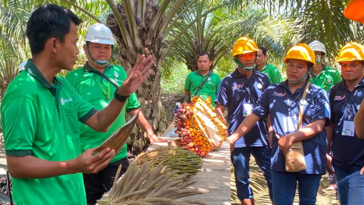 Foto: Petani Sawit Swadaya Kaltim Ikuti Pelatihan Standar Industri