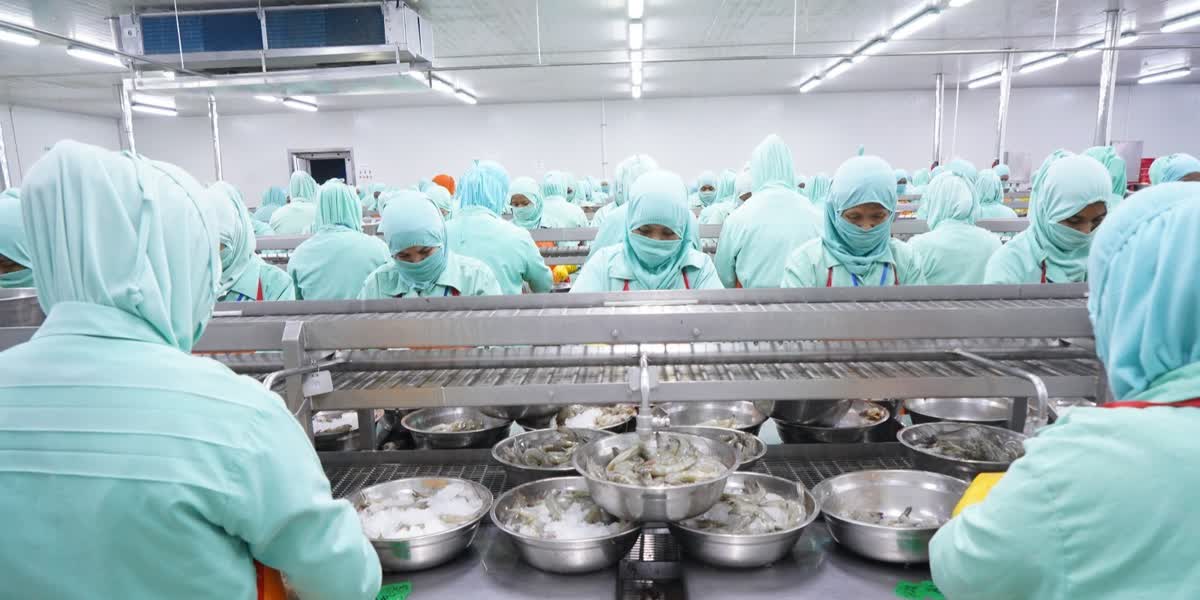 Foto: PNBP Sektor Perikanan Naik Jadi Rp2,4 Triliun di 2025