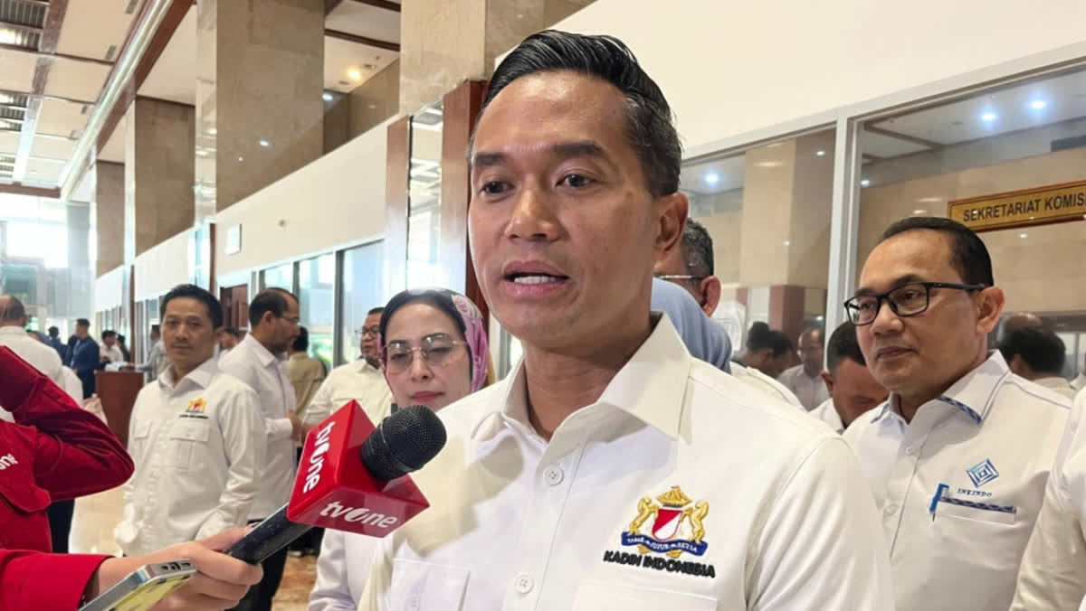 Foto: RUU Kadin Dibahas DPR, Anindya Bakrie Dorong Penguatan UMKM